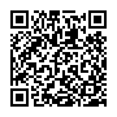 QR code for 383TIR