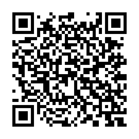 QR code for 383TLM