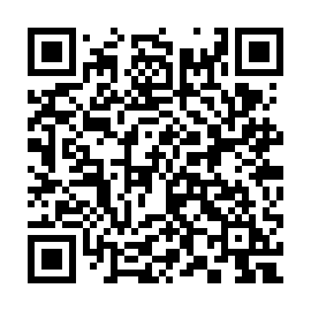 QR code for 383VAI