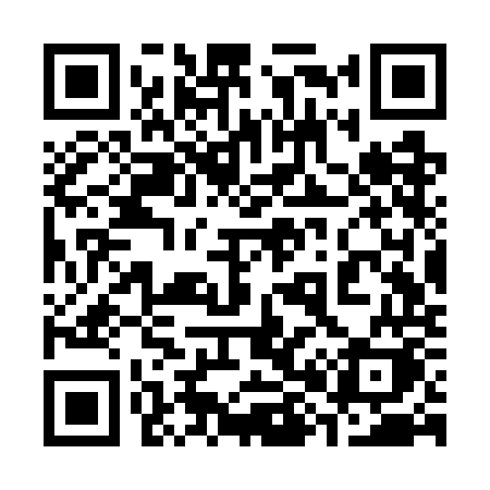 QR code for 383WOK