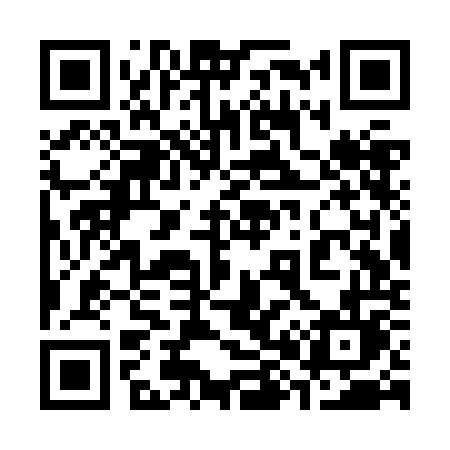 QR code for 383ZOL