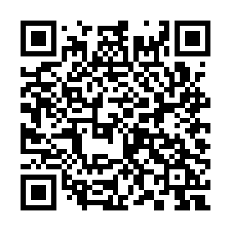 QR code for 384APG