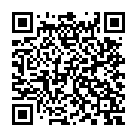 QR code for 384DPW