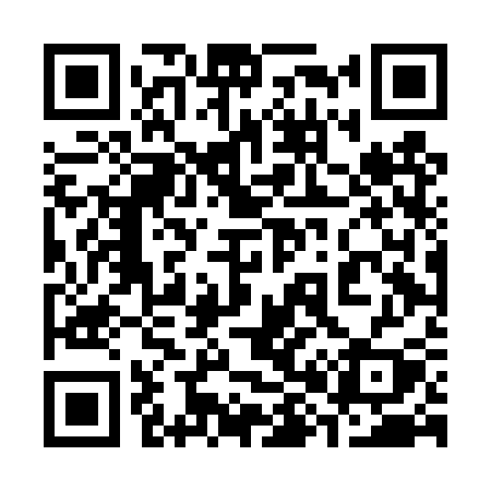 QR code for 384DSY