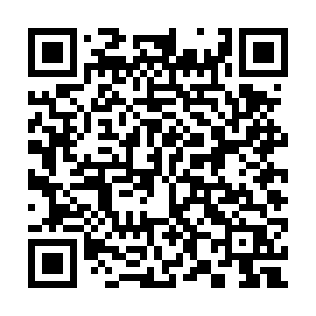 QR code for 384DVP