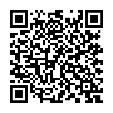 QR code for 384HFI
