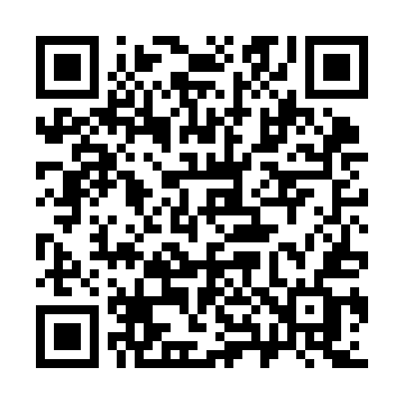 QR code for 384KEF