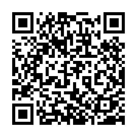 QR code for 384PAQ