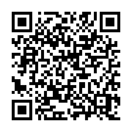 QR code for 384QHV