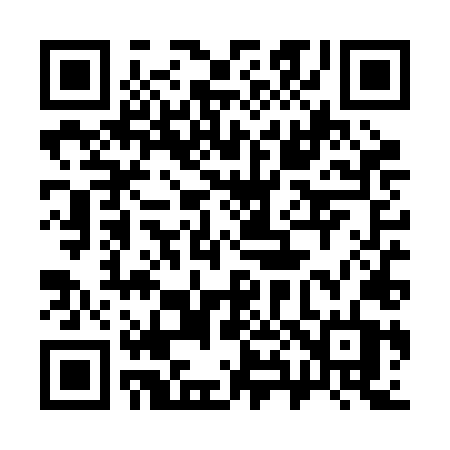 QR code for 384RLT