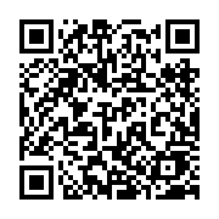 QR code for 384ROE