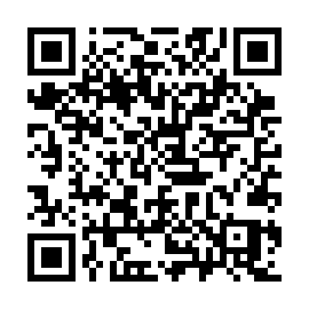 QR code for 384SNQ
