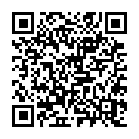 QR code for 384SOT