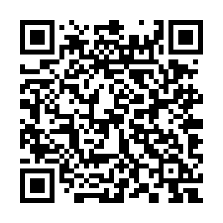 QR code for 384TIF
