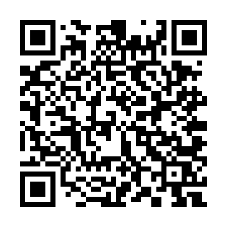 QR code for 384TLS