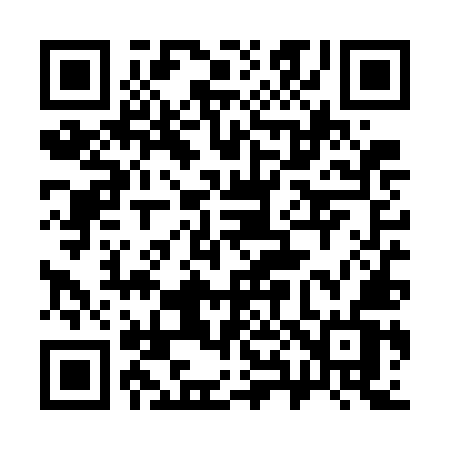 QR code for 384WMV