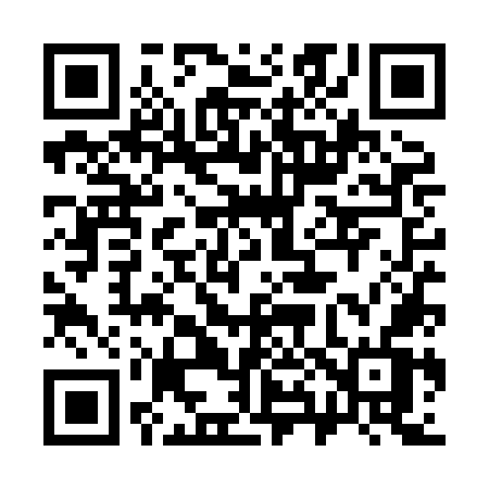 QR code for 384XOV