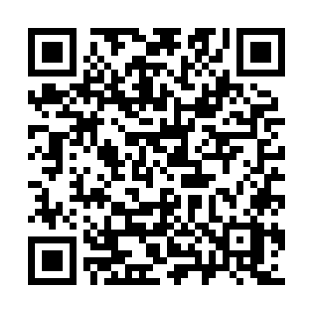 QR code for 384XOX