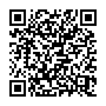 QR code for 384ZDP