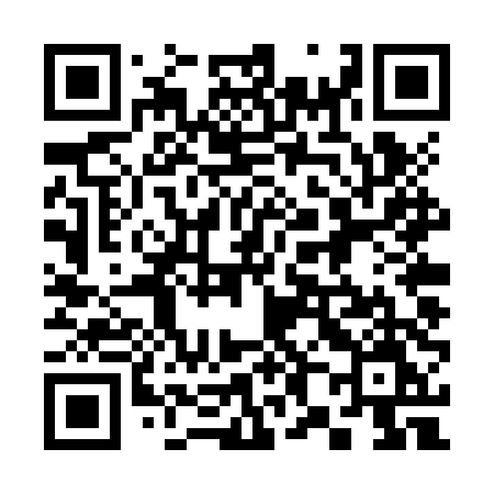 QR code for 384ZTM