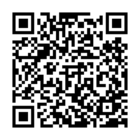 QR code for 385DHW