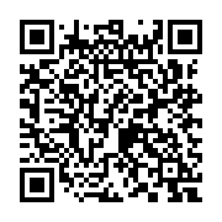 QR code for 385IAI