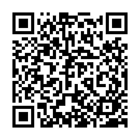 QR code for 385LUO