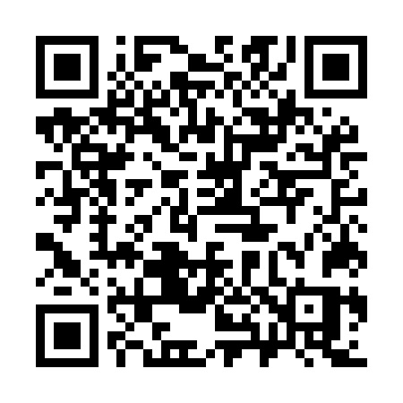 QR code for 385MNS