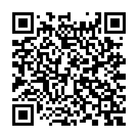 QR code for 385PFN