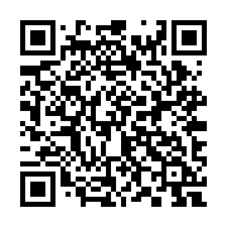 QR code for 385RIF