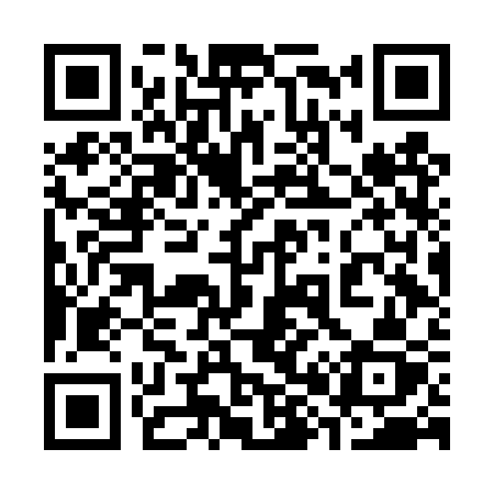 QR code for 386DSZ