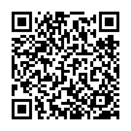 QR code for 386FKO