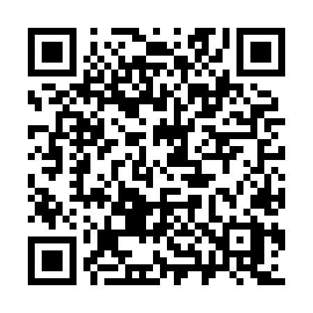 QR code for 386HLX