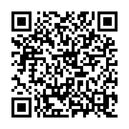 QR code for 386ICH