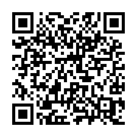 QR code for 386IIC