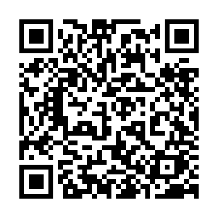 QR code for 386JOK