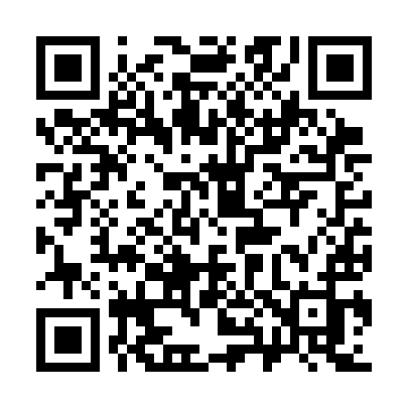 QR code for 386SIJ