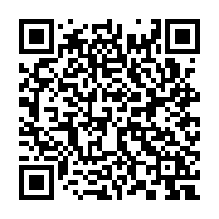 QR code for 387APX
