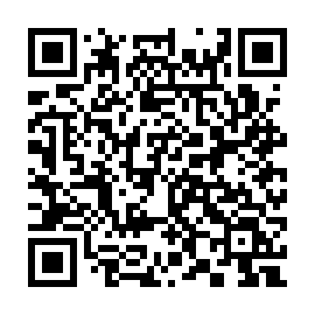 QR code for 387AVL