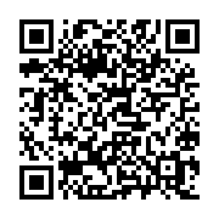 QR code for 387MIM