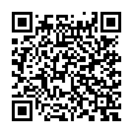 QR code for 387NNX