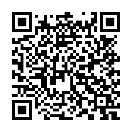 QR code for 387NUS