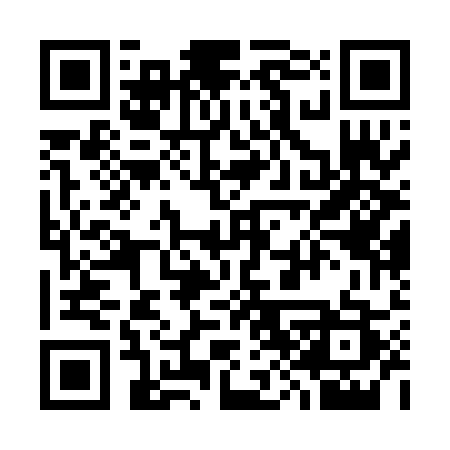 QR code for 387PAS