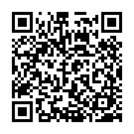 QR code for 387PNM
