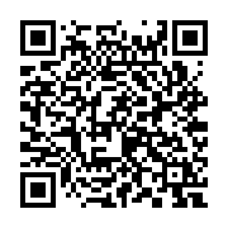 QR code for 387SQX