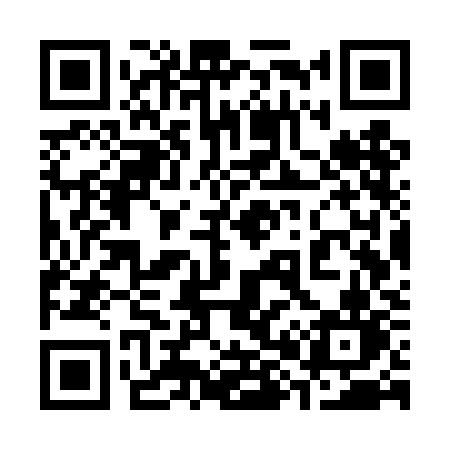 QR code for 387TKN