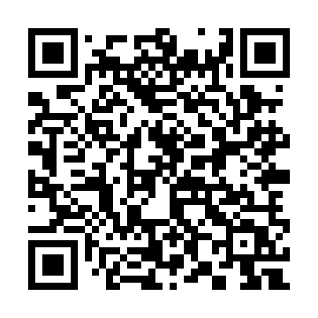 QR code for 388PMT