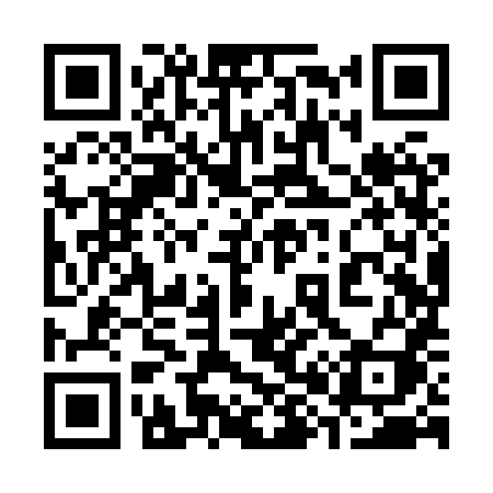QR code for 388XXI