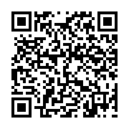 QR code for 389CKT
