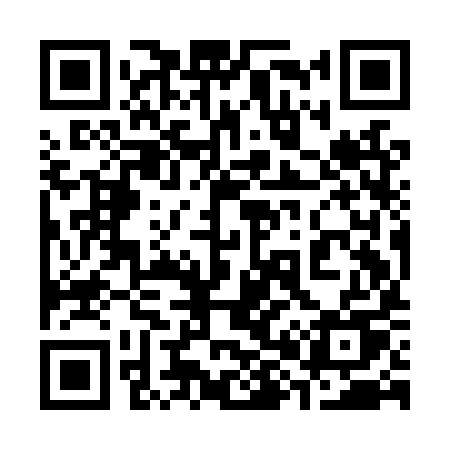 QR code for 389LYU